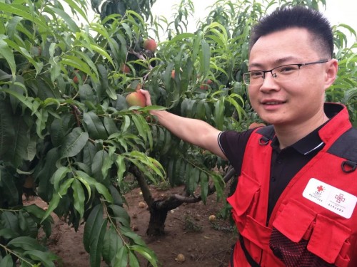 美菜網(wǎng)志愿者回鄉(xiāng)助農(nóng)，助力鄉(xiāng)村振興