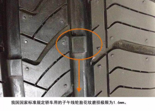 返校風(fēng)雨無阻，瑪吉斯一路隨行，護(hù)您周全