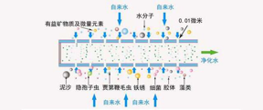 專業(yè)揭秘凈水器哪個好？品牌＆濾芯才是關(guān)鍵