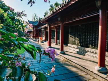 新華網(wǎng)攜手vivo發(fā)布城市系列短片 開(kāi)啟找尋快樂(lè)之旅
