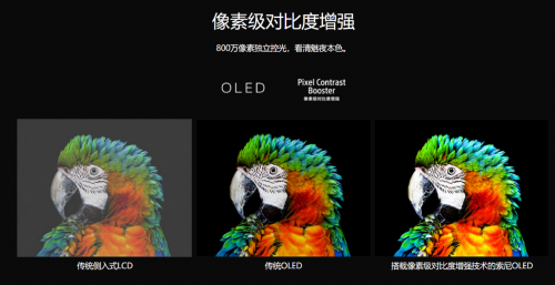 開學季視力健康不容小覷！索尼OLED電視獻上護眼神器