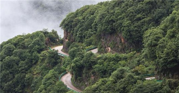 月入1萬，年底分紅10萬，乘龍燃氣車幫助金佑君走上致富路