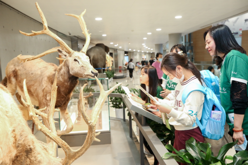 恒隆集團(tuán)慶祝成立60周年，內(nèi)地九城及香港義工活動(dòng)惠及4500人