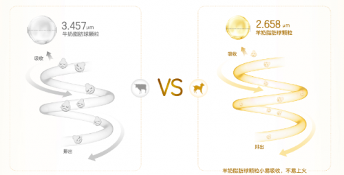 羊奶粉好還是牛奶粉好？寶媽親證適合寶寶的才是最好的