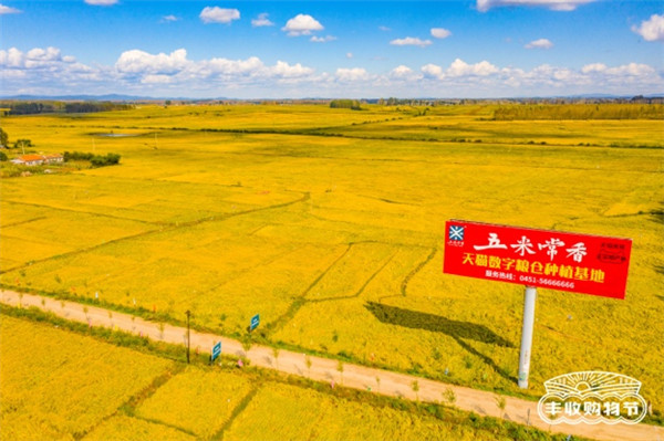 聚焦原產(chǎn)地，天貓將今年第一份“最好的大米”直達(dá)餐桌