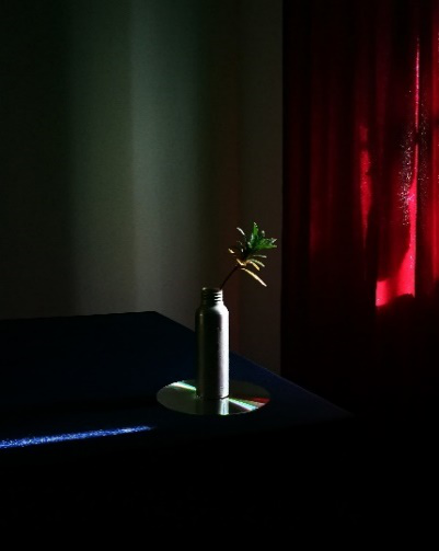 用影像記錄生活，讓科技推動(dòng)發(fā)展，2020新影像大賽圓滿(mǎn)收官