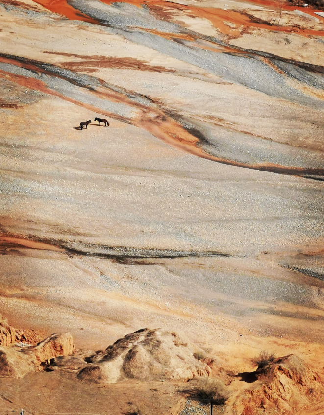 用影像記錄生活，讓科技推動(dòng)發(fā)展，2020新影像大賽圓滿(mǎn)收官