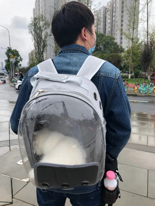 抖inCity進(jìn)階的兩年，一場人與城的奇妙之旅