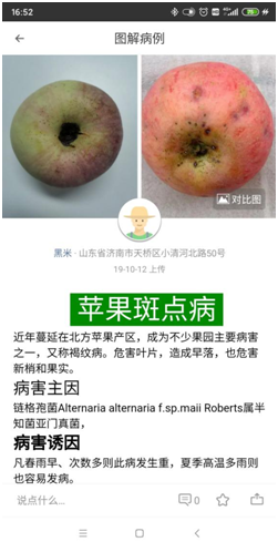 “視聯(lián)網(wǎng)+鄉(xiāng)村”，讓濟(jì)南先行區(qū)智慧“先行”