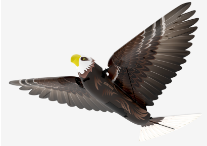 漢王仿生撲翼鳥Go Go Bird1000亮相上海玩博會(huì)，與萌娃共享仿生AI盛宴！