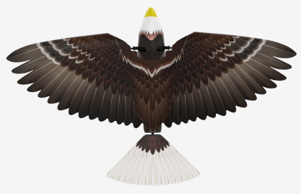 漢王仿生撲翼鳥Go Go Bird1000亮相上海玩博會(huì)，與萌娃共享仿生AI盛宴！