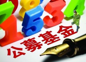 嘉實(shí)基金多只產(chǎn)品凈值翻倍，公募基金長(zhǎng)期賺錢效應(yīng)凸顯