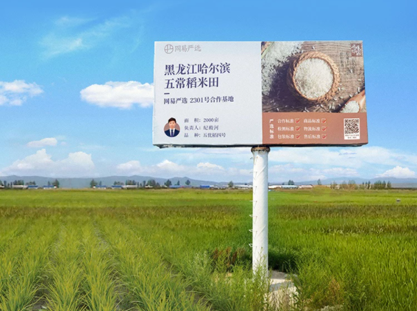 網(wǎng)易嚴(yán)選開售五常有機(jī)稻花香新米，正宗原產(chǎn)地好味，鎖鮮送達(dá)