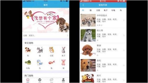100+ 隊伍激烈角逐！Geek Online 2020 編程挑戰(zhàn)賽完美收官！
