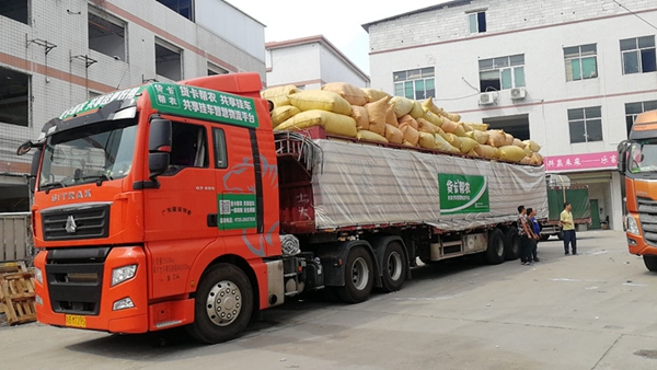 不壓車了，賺得更多了！貨卡幫農(nóng)共享掛車引批發(fā)商和卡車司機(jī)熱捧