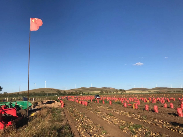 不壓車了，賺得更多了！貨卡幫農(nóng)共享掛車引批發(fā)商和卡車司機(jī)熱捧