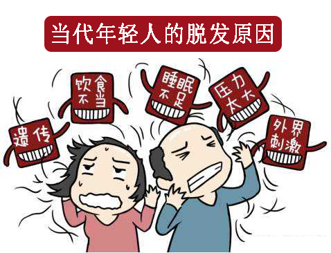 重慶新生植發(fā)：脫發(fā)困擾最佳選擇 植發(fā)手術(shù)效果立竿見(jiàn)影