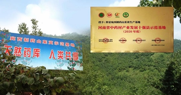 仲景宛西制藥山茱萸基地榮獲“2020河南省中藥材產業(yè)發(fā)展十強縣示范基地” 等榮譽