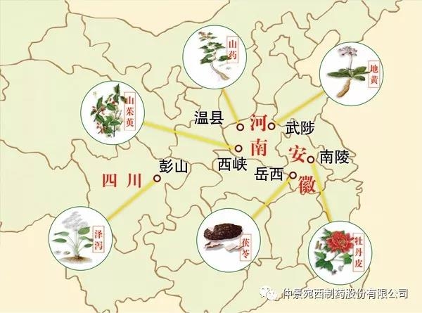 仲景宛西制藥山茱萸基地榮獲“2020河南省中藥材產業(yè)發(fā)展十強縣示范基地” 等榮譽