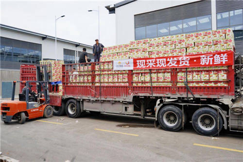 零售云+拼購，蘇寧雙十一深挖下沉市場價值