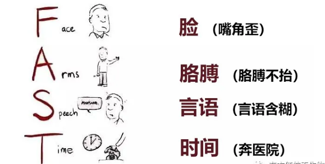 世界卒中日，東方紅航天生物帶你了解腦卒中是如何發(fā)生的