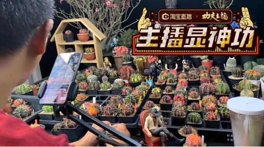 直播間里的“花花世界”：一顆多肉賣到14萬，小眾愛好也能做成大生意