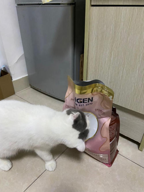 ?什么牌子貓糧好？信元發(fā)育寶元?dú)鈨?yōu)食，為愛寵腸道健康保駕護(hù)航的無谷貓糧