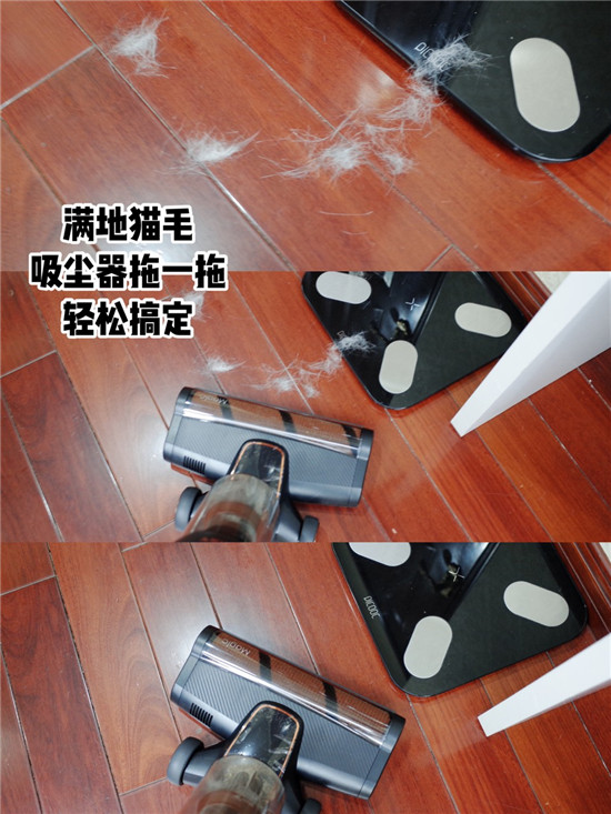 萊克立式吸塵器，助力鏟屎官輕松應(yīng)對(duì)養(yǎng)寵煩惱
