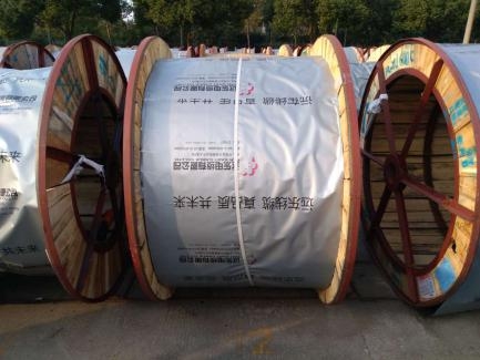 遠(yuǎn)東控股為白鶴助飛，白鶴灘水電站中的遠(yuǎn)東力量