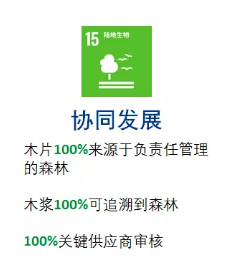 亞太森博發(fā)布2030可持續(xù)發(fā)展目標(biāo)，未來十年堅(jiān)持與綠色同行