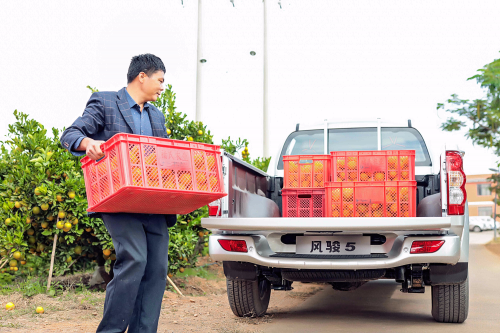 民生車典范，揭秘風(fēng)駿5受歡迎原因