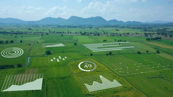 達(dá)摩院2021十大科技趨勢：工業(yè)、農(nóng)業(yè)、城市全面邁向智能時代