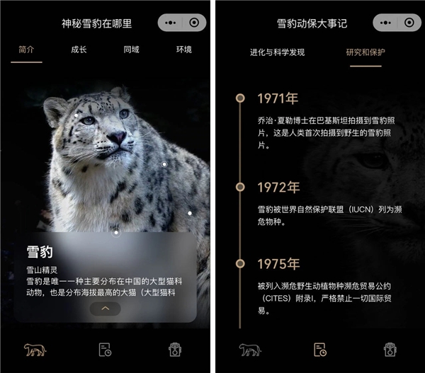 一起用AI守住瀕危動植物的家園——騰訊聯(lián)合三大公益機構發(fā)起公益創(chuàng)新挑戰(zhàn)賽
