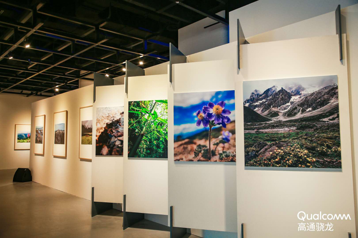 驍龍攝影展