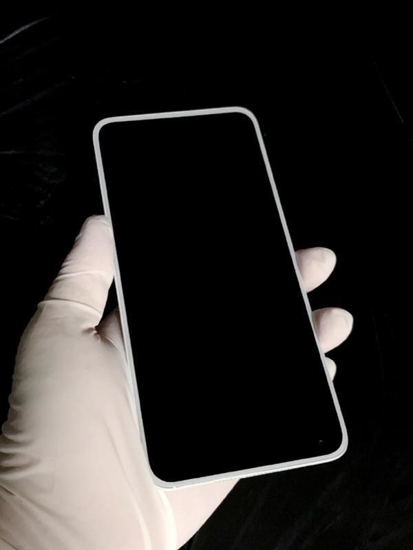 堅(jiān)果