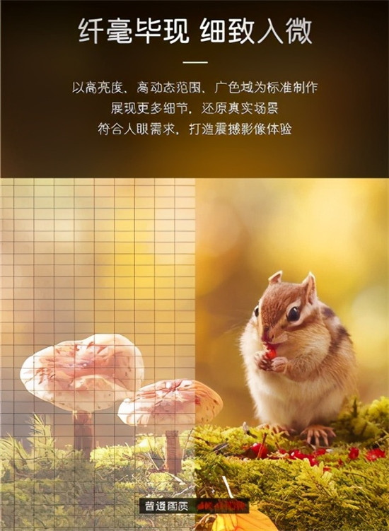 看電影何必去影院？卡薩帝發(fā)布M150電視，把智慧影院帶回家
