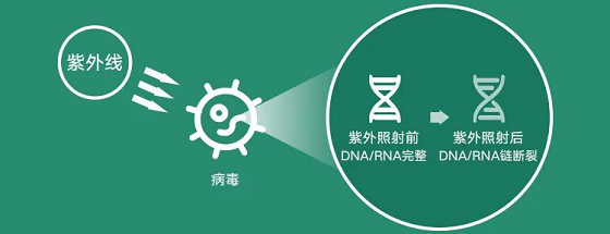 華為要賣空氣了？坐在北京也能享受呼倫貝爾的清新