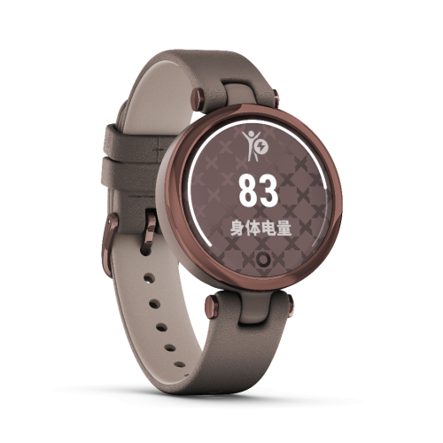 Garmin佳明布局女性市場，攜新品Lily優(yōu)雅腕表上市