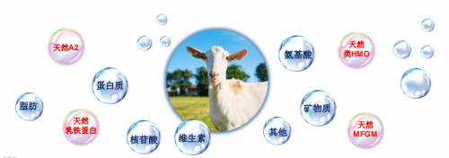 嬰兒奶粉排行榜十強(qiáng)，佳貝艾特再入圍盡顯大牌風(fēng)范