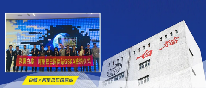 “進(jìn)擊的白貓洗潔精”，借阿里巴巴國際站之力，成就中國國貨品牌驕傲！
