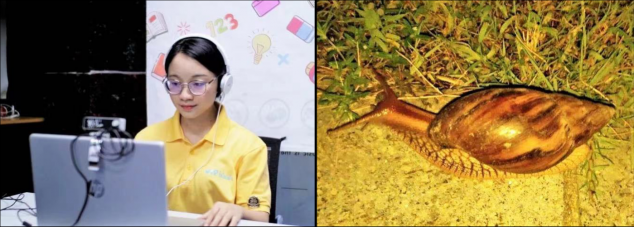 乘風(fēng)破浪的胡靜、董璇都點(diǎn)贊 “明星同款”豌豆思維有多全能？