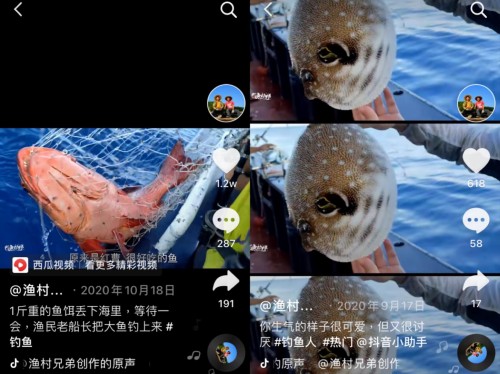 廣東“漁村兄弟”抖音追夢(mèng)，靠拍海釣短視頻買房買車