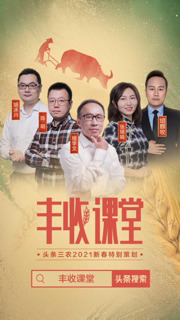 聚焦2020年度三農(nóng)關(guān)鍵詞，頭條上線新春特別策劃《豐收課堂》