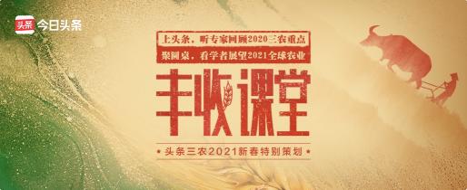 聚焦2020年度三農(nóng)關(guān)鍵詞，頭條上線新春特別策劃《豐收課堂》