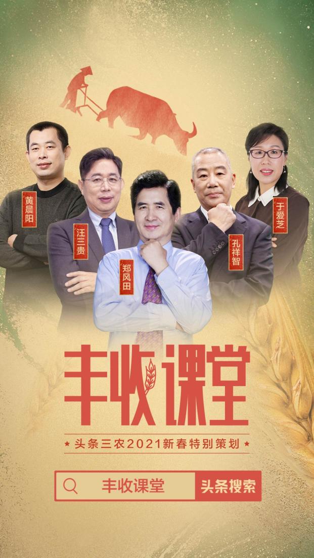 聚焦2020年度三農(nóng)關(guān)鍵詞，頭條上線新春特別策劃《豐收課堂》