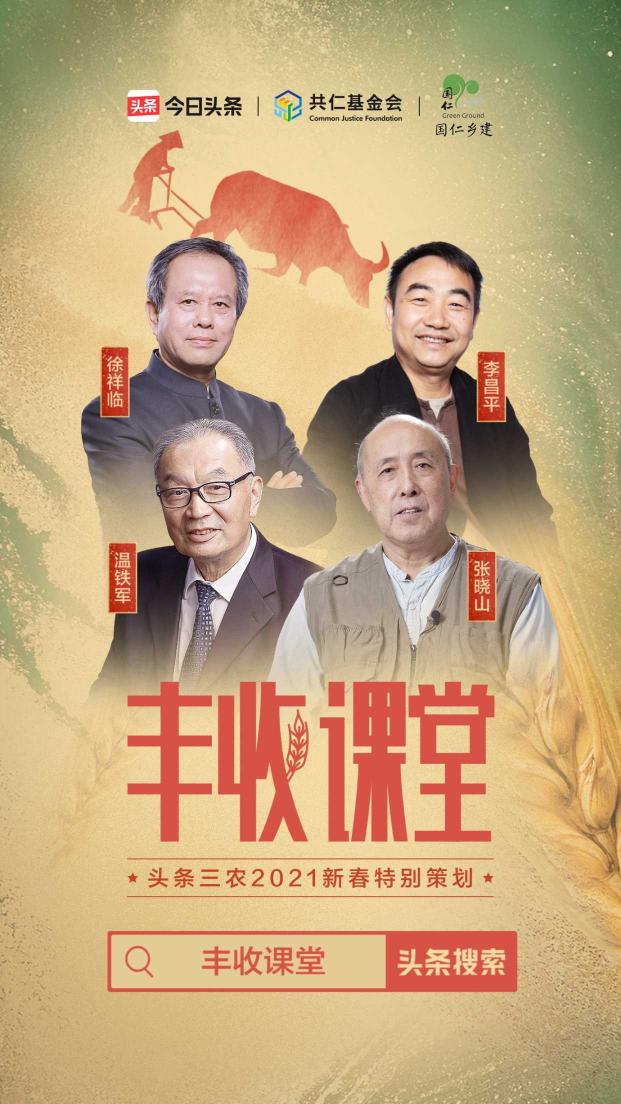 聚焦2020年度三農(nóng)關(guān)鍵詞，頭條上線新春特別策劃《豐收課堂》