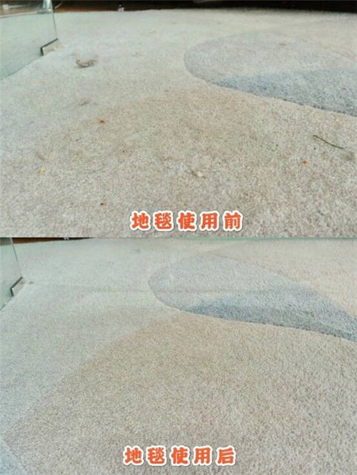 ?貓咪養(yǎng)成日記｜這個清理貓毛的小技巧你知道嗎？