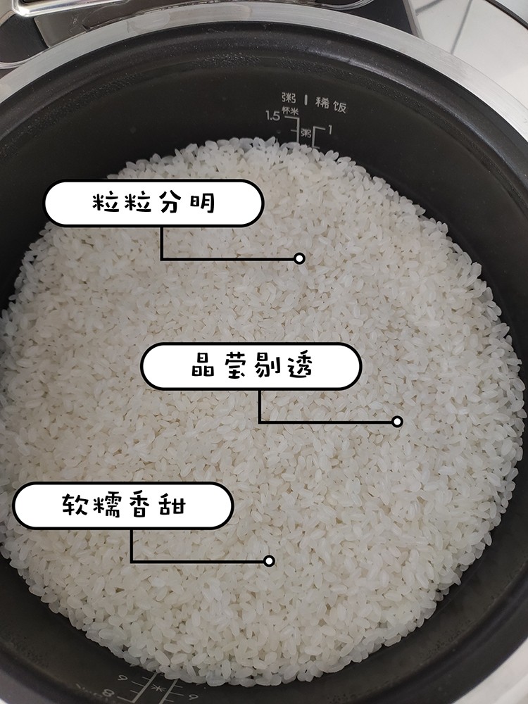 我們對(duì)蘇泊爾電飯煲進(jìn)行了評(píng)測(cè)：顏值當(dāng)?shù)?實(shí)力不俗