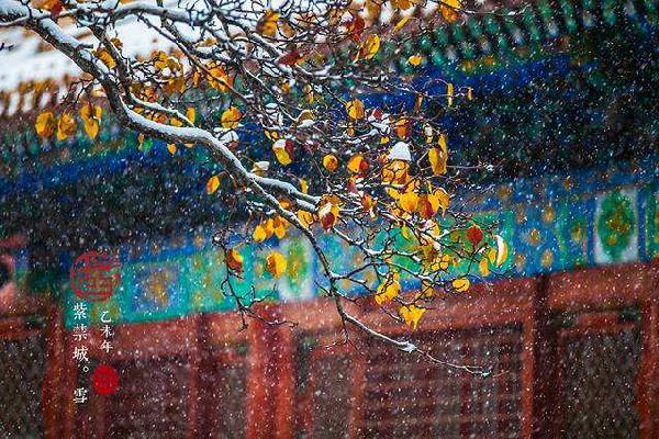 國(guó)潮當(dāng)?shù)?，美圖用傳統(tǒng)文化俘獲“后浪”