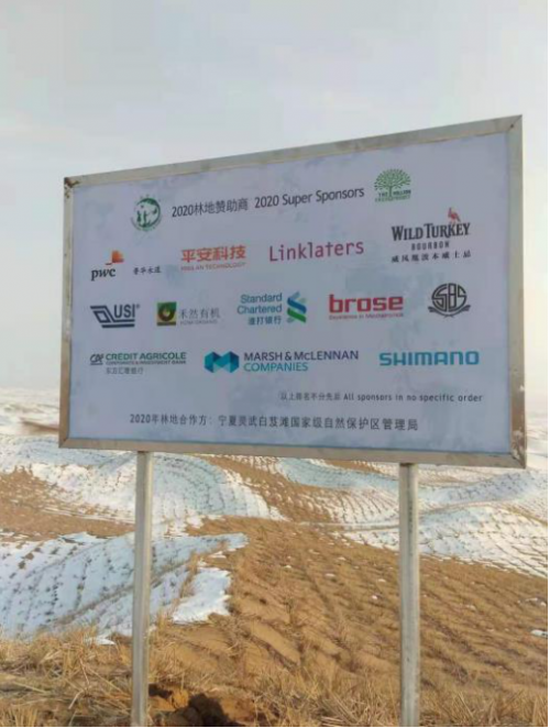 植樹節(jié)添新綠，平安科技展示“百萬植樹計劃”階段性成果